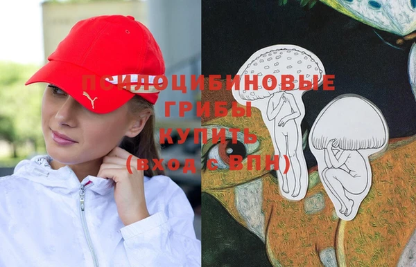 хмурый Заводоуковск