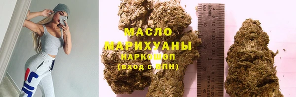 мдпв Ельня