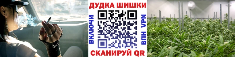 Марихуана планчик  гидра вход  Волгодонск 